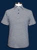 Navy and White Stripe Polo.