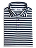 Navy and White Stripe Polo.